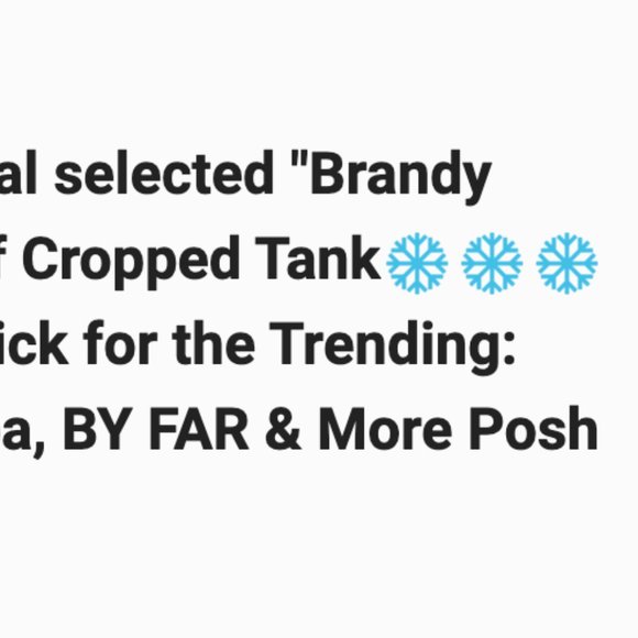 🥳🥳HP🥳🥳Brandy Melville Cut Off Cropped Tank - Picture 4 of 4